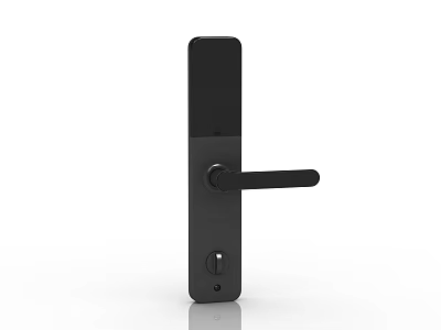 Modern Black Door Handle Design With Sleek Rectangular Plate And Smooth Finish 3d model