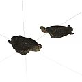 Two Reptile Turtle Sculptures With Black Shell And Golden Pattern Details On White Surface 3d model