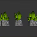 Green Leaf Plants In Gray Stone Bases Arranged For Natural Decorative Look