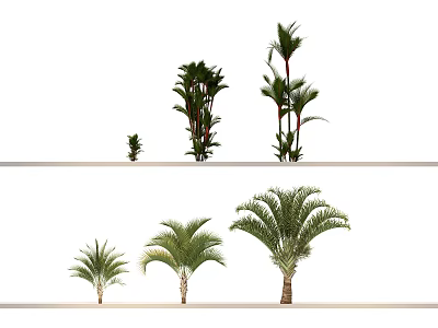 Different Tree Species Including Palm and Tropical Varieties Displayed in Two Rows 3d model