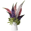 Colorful Lupine Flowers in White Vase with Pink Purple and Green Leaves