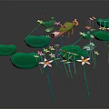 Cartoon Water Scene Featuring Green Crocodile Lily Pads And White Flowers