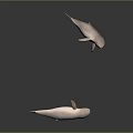 Two White Dolphins Swimming Gracefully in Gray Background with Smooth Movements 3d model