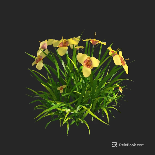Fresh Blooming Yellow Flower Plant With Green Leaves And Red Center Petals 3d model 