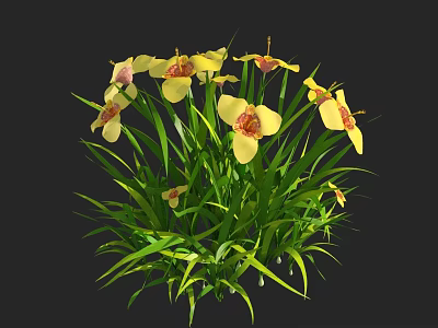 Fresh Blooming Yellow Flower Plant With Green Leaves And Red Center Petals 3d model