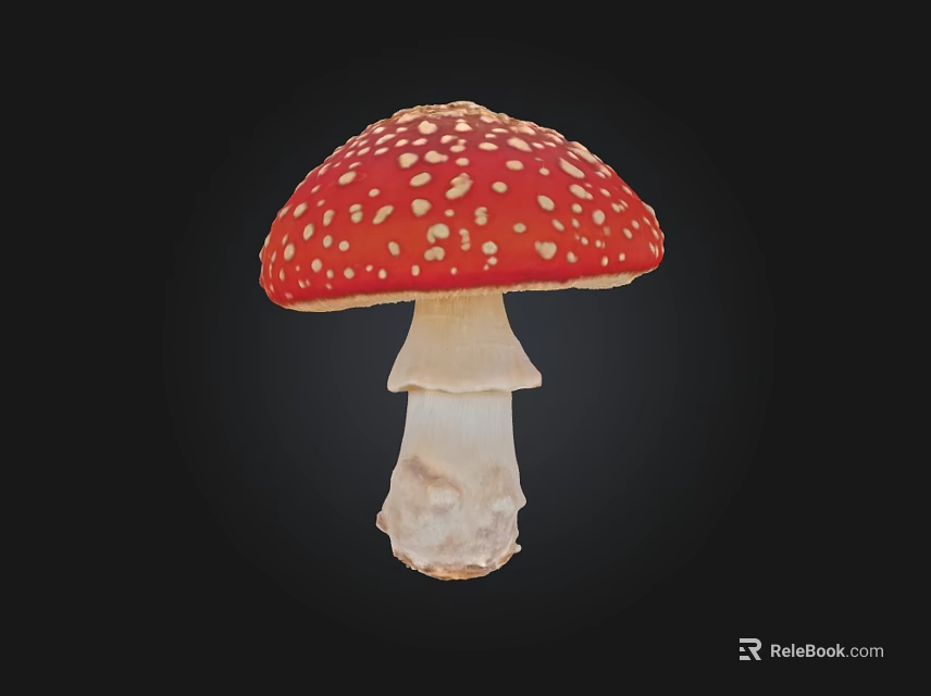 Red Mushroom With White Spots On Black Background Showing Cap And Stem 3d model 