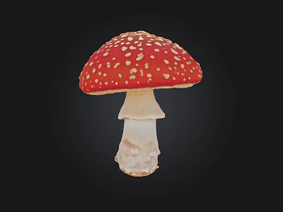 Red Mushroom With White Spots On Black Background Showing Cap And Stem 3d model