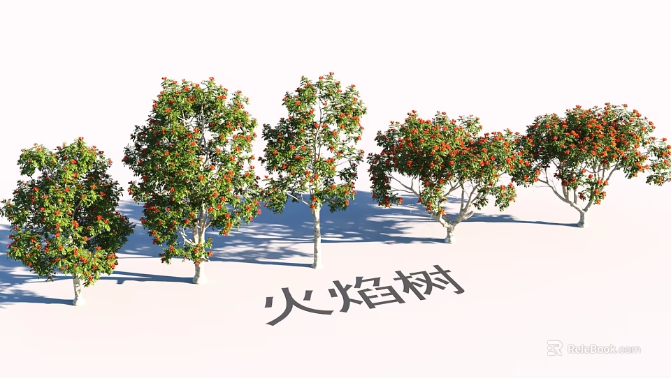 Beautiful Garden Landscape With Flame Trees Featuring Red Flowers Arrangement 3d model 