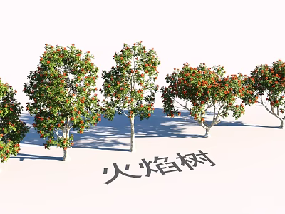 Beautiful Garden Landscape With Flame Trees Featuring Red Flowers Arrangement 3d model