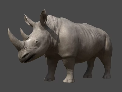 Realistic Rhino Iguana Reptile 3D Model with Detailed Head and Body on Gray Background 3d model