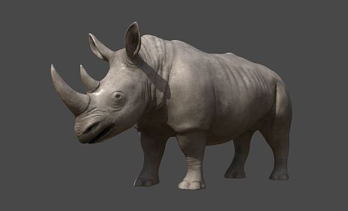 Rhino 3d model