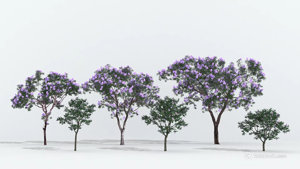 Tall and Small Arbor Trees with Purple Flowers Arranged on White Background 3d model 