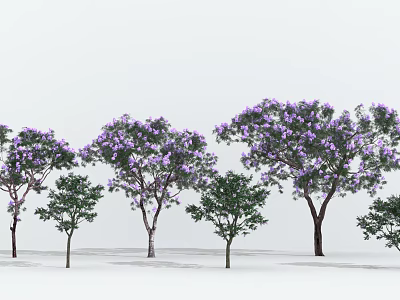 Tall and Small Arbor Trees with Purple Flowers Arranged on White Background 3d model