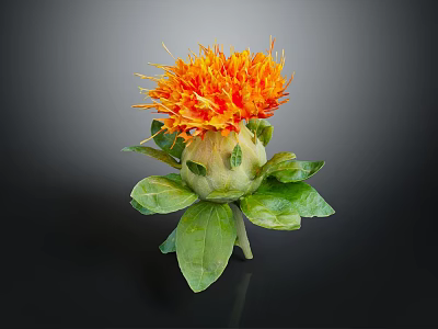 Vibrant Orange Flower in Ceramic Vase with Fresh Green Leaves and Natural Design 3d model