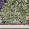 Bonsai Potted Plants Arrangement With Purple White Flower Wall And Stone Decorations