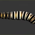Realistic Animal Painting of Striped Caterpillar with Black White Yellow Colors