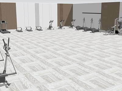 Sports Equipment In Gym With Various Fitness Machines And Training Tools 3d model