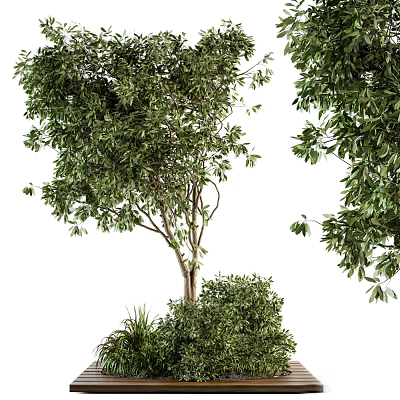 Lush Arbor With Dense Green Foliage And Strong Trunk Surrounded By Shrubs 3d model
