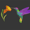 Colorful Hummingbird With Purple Wings Feeding On Orange Yellow Flower Dark Background Reflection