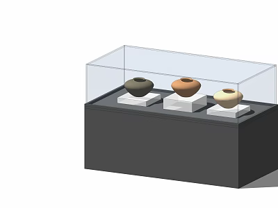 Black Display Cabinet With Transparent Glass Cover And Ceramic Vases On White Bases 3d model
