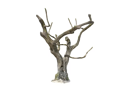 Natural Leafless Tree With Thick Trunk And Spreading Branches At Mossy Base 3d model