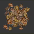 Beautiful Colorful Autumn Leaves in Various Hues Scattered on Blue Background