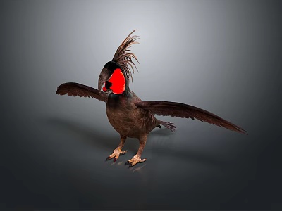 Brown Bird With Red Crest And Spread Wings On Grey Background 3d model