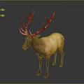 Realistic Standing Elk With Large Antlers And Brown Coat Against Gray Background