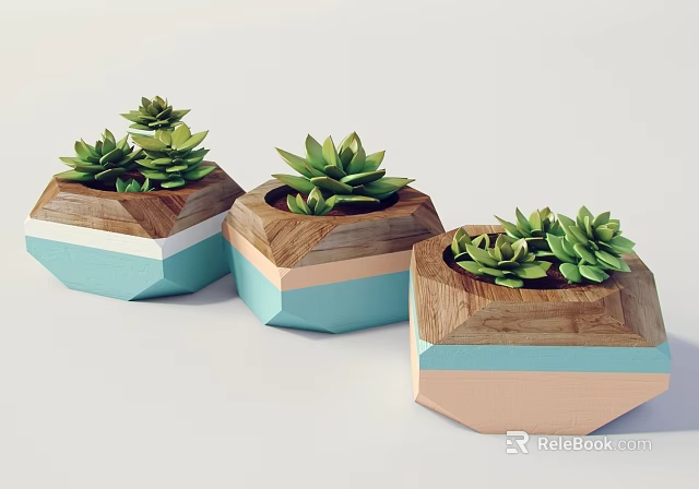 Three Geometric Wooden Succulent Potted Plants With Blue Pink Accents 3d model 
