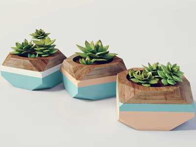 Three Geometric Wooden Succulent Potted Plants With Blue Pink Accents 3d model