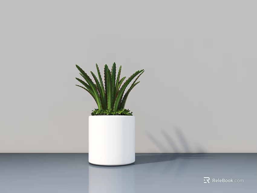 Green Leaf Potted Plant In White Cylindrical Pot On Tabletop With Light Gray Wall 3d model 