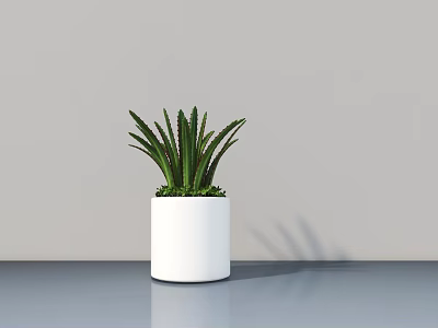 Green Leaf Potted Plant In White Cylindrical Pot On Tabletop With Light Gray Wall 3d model