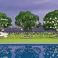 Decorative Trees With White Flowers And Reflection In Pool On Green Lawn