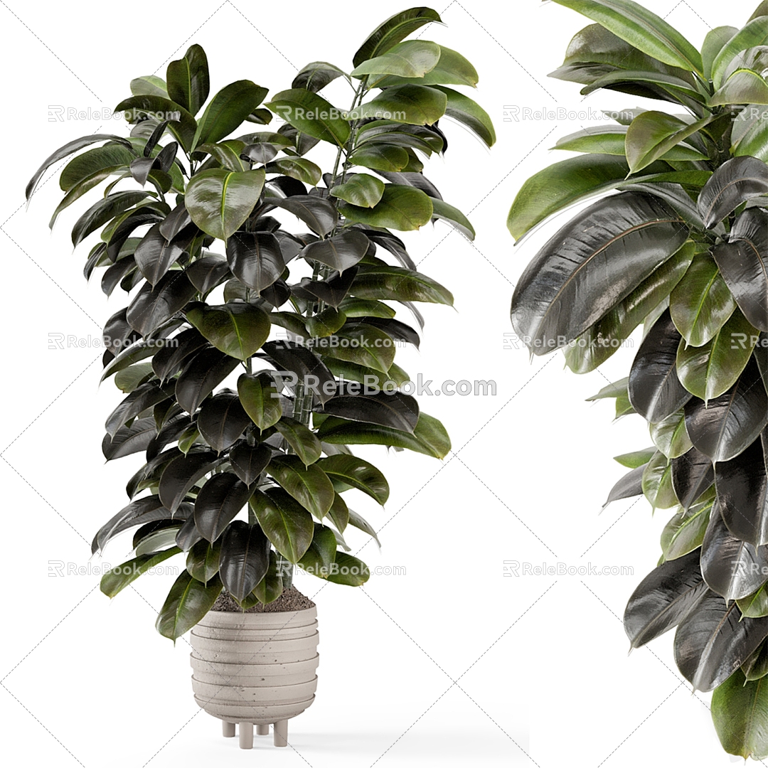 modern potted plant potted plant 3d model