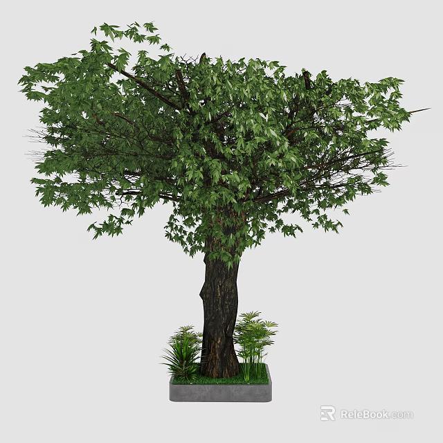 Lush Green Leafy Arbor With Thick Trunk And Small Plants Around Base 3d model 