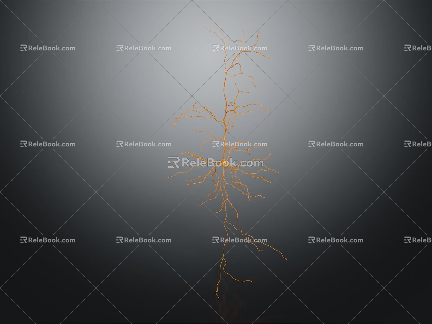 Modern Blood Vessel Distribution Blood Vessel Anatomical Organs Human Organs 3d model