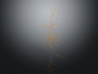 Neuron Structure Visualization Medical Device For Neural Research And Diagnosis 3d model