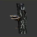 Fresh Organic Edible Mushrooms Growing On Natural Tree Trunk With Earthy Texture