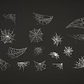 Different Spider Web Designs In White Lines On Black Background 3d model