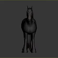 A Brown And Black Horse With Purple Decorated Mane Standing On Gray Background