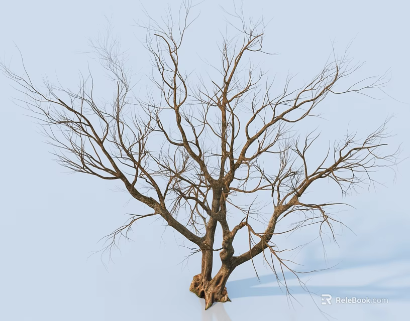 Leafless Arbor With Thick Trunk And Bare Branches Against Light Blue Background 3d model 