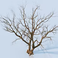 Leafless Arbor With Thick Trunk And Bare Branches Against Light Blue Background 3d model