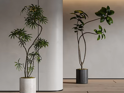 Modern green plant potted plant bonsai 3d model