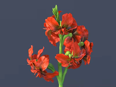 Vibrant Red Blooming Flowers With Green Stems And Lush Leaves 3d model