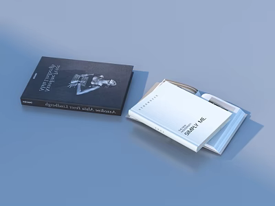 Daily Living Books With Modern Design Covers In Black And White Colors 3d model