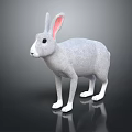 Gray Rabbit With Pink Ears And White Paws Standing On Dark Background With Reflection 3d model