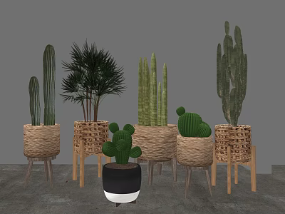 Bonsai Potted Cactus And Green Plants In Woven Baskets With Wooden Leg Stands 3d model