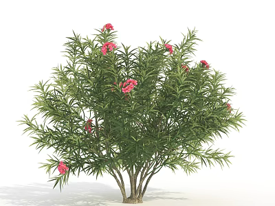 Lush Arbor With Green Leaves And Pink Flowers In Natural Growth 3d model