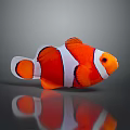 Orange And White Clownfish With Black Stripes On Gray Background With Reflection 3d model