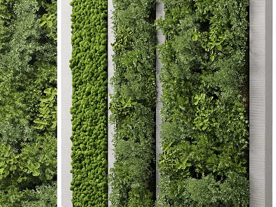Vertical Living Wall Design With Lush Green Plants And White Panels 3d model